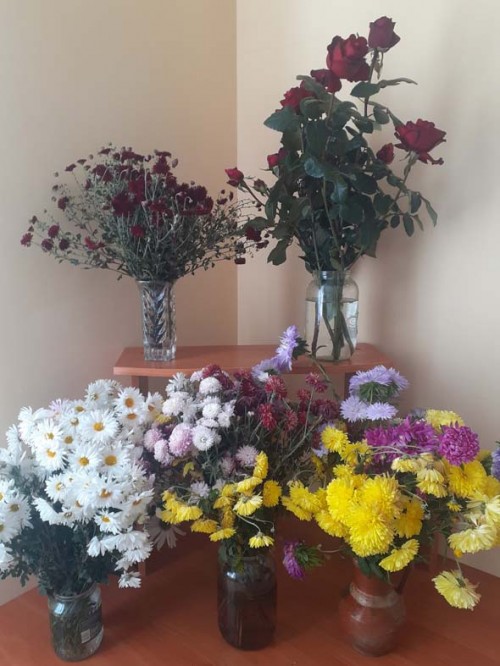 AlCFeLBDHbjlcu2EqSLkZ5l4zoembSpZ75RYZMexfRVNAWtZMArqunvdhwmzbmYb0HVJFYcfF4kcI4vK28K5x2UP