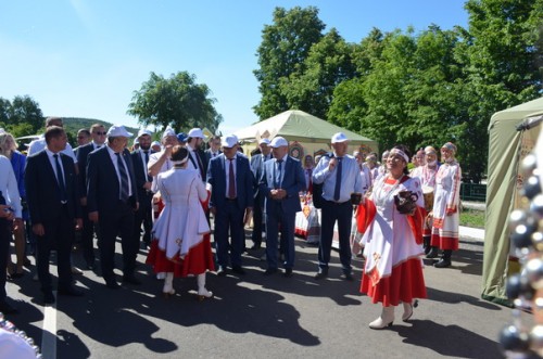 DSC 2767 новый размер