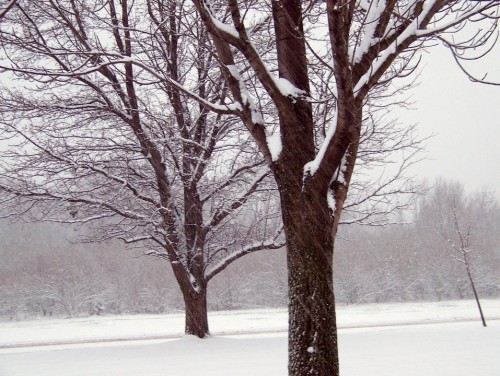 IMG 20210115 123627