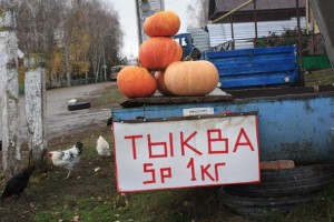 Где же выход
