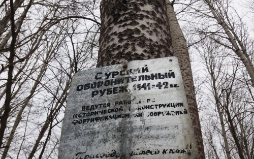 Дизайн без названия 1 1