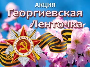 2sghkzuHwFY1