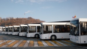 8v8a3341
