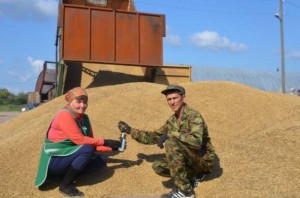 Урожай посчитают в закромах