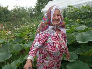 Царица огорода